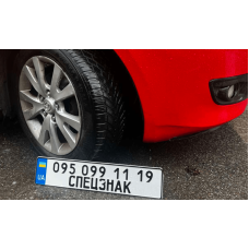 Потеряли номерной знак во время ливня? Закажите дубликат в "Спецзнаке"